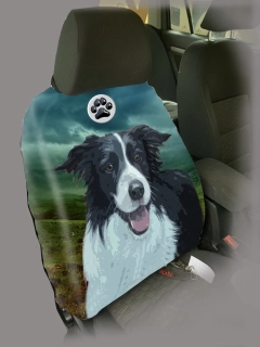 Dog Autopotah-Border kolie
